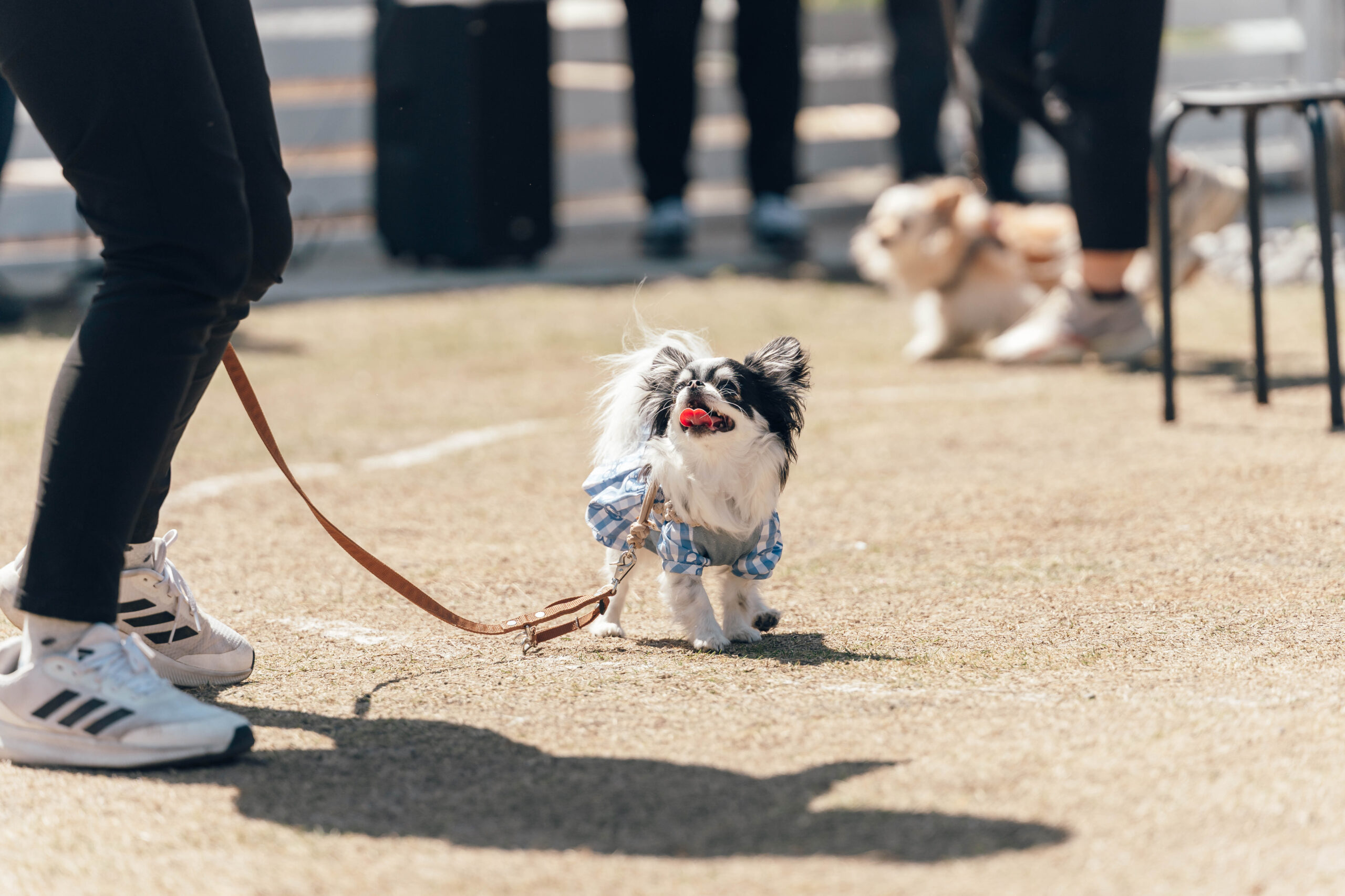 イベントの様子